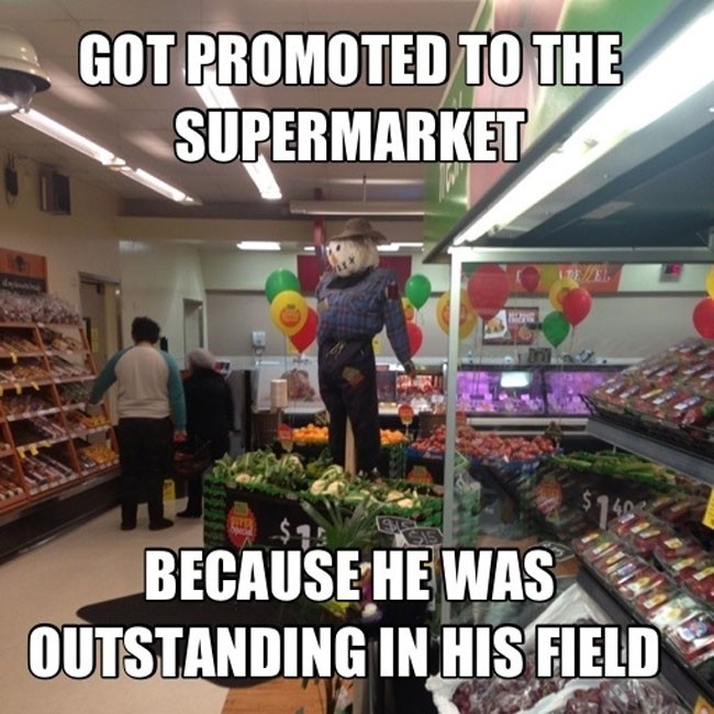 cringe worthy puns - Got Promoted To The Supermarket Because He Was Outstanding In His Field
