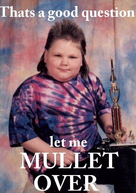 that's a good question let me mullet over - Thats a good question let me Mullet Over