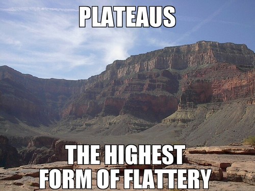 greatest puns of all time - Plateaus The Highest Form Of Flattery