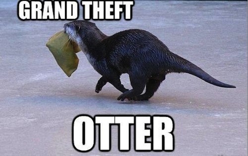 funny puns - Grand Theft Otter
