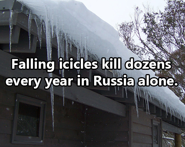 icicles - Falling icicles kill dozens every year in Russia alone.