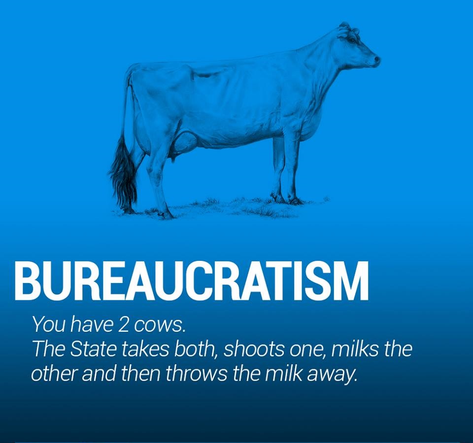 The World Economy Explained With Two Cows