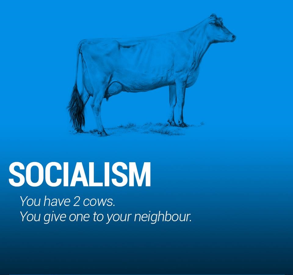 The World Economy Explained With Two Cows