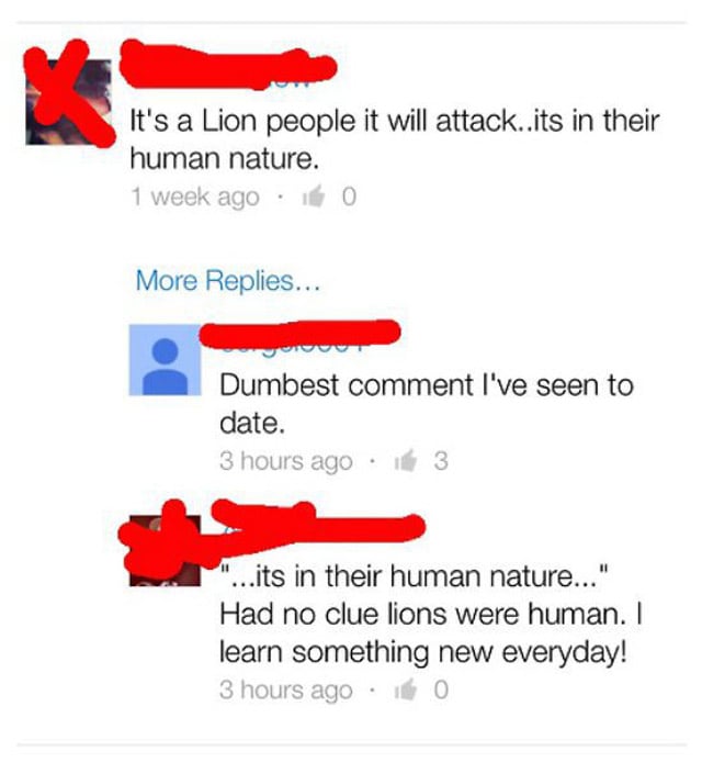 stupid people posts - It's a Lion people it will attack..its in their human nature. 1 week ago bo More Replies... Dumbest comment I've seen to date. 3 hours ago. 3 "...its in their human nature..." Had no clue lions were human. I learn something new every
