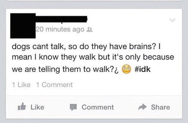 dumbest facebook posts - 20 minutes ago 24 dogs cant talk, so do they have brains? | mean I know they walk but it's only because we are telling them to walk?i 1 1 Comment Comment