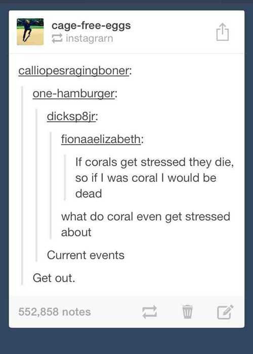 buzzfeed jokes - cagefreeeggs instagrarn calliopesragingboner onehamburger dicksp8jr fionaaelizabeth If corals get stressed they die, so if I was coral I would be dead what do coral even get stressed about Current events Get out. 552,858 notes
