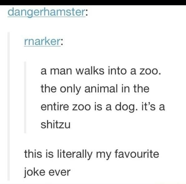 funniest joke ever - dangerhamster rnarker a man walks into a zoo. the only animal in the entire zoo is a dog. it's a shitzu this is literally my favourite joke ever