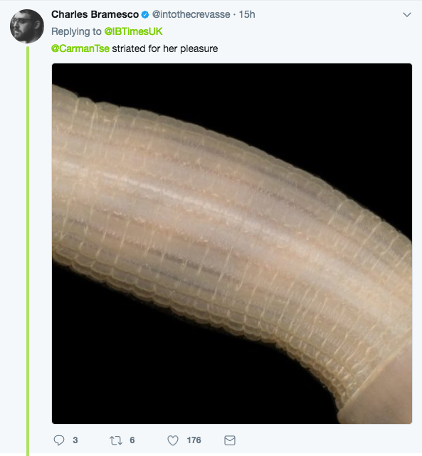 Scientists Find Sea Worm That Looks Like A Dick, The Internet Reacts Appropriately