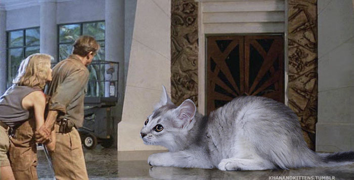 Someone Replaced All The Dinosaurs In Jurassic Park With Cats And It's Purrfect