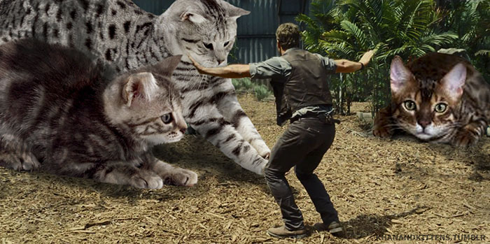 Someone Replaced All The Dinosaurs In Jurassic Park With Cats And It's Purrfect