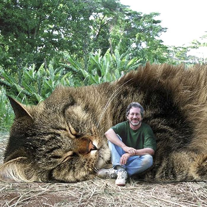 Someone Replaced All The Dinosaurs In Jurassic Park With Cats And It's Purrfect