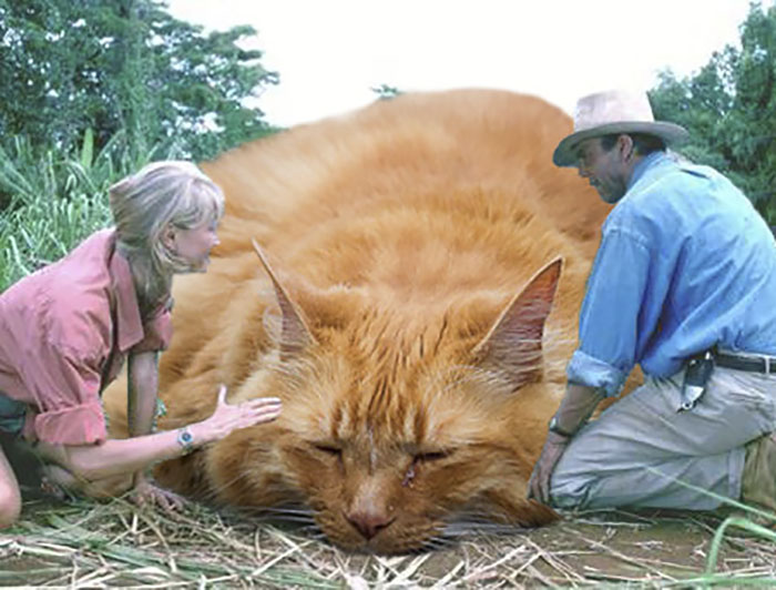 Someone Replaced All The Dinosaurs In Jurassic Park With Cats And It's Purrfect