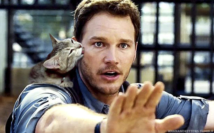 Someone Replaced All The Dinosaurs In Jurassic Park With Cats And It's Purrfect