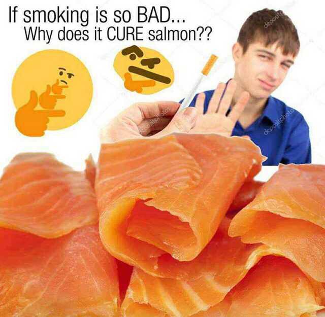 costco smoked salmon - site If smoking is so Bad... Why does it Cure salmon?? depositphoto