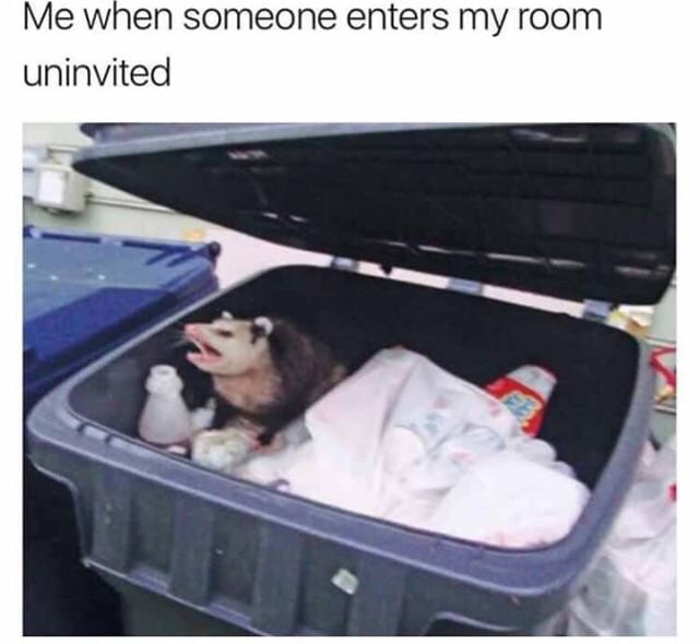 Sunday meme about relating to an opossum in a trash can