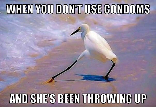 memes  - beak - When You Don'T Use Condoms And She'S Been Throwing Up