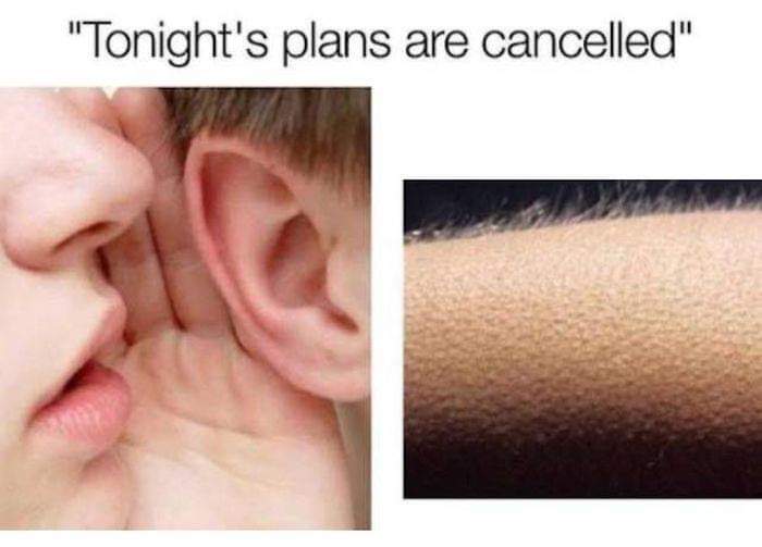 introvert memes - "Tonight's plans are cancelled"