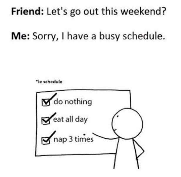 Meme - Friend Let's go out this weekend? Me Sorry, I have a busy schedule. "le schedule I do nothing peat all day nap 3 times