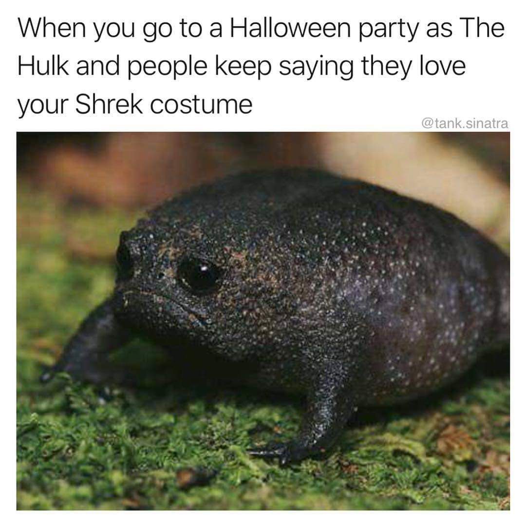 my avocado so sad - When you go to a Halloween party as The Hulk and people keep saying they love your Shrek costume .sinatra Sa