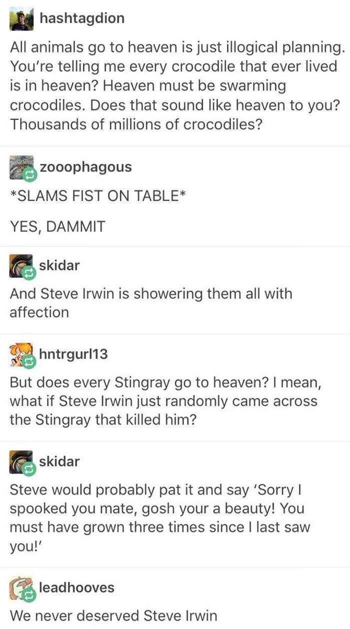 steve irwin tumblr post - hashtagdion All animals go to heaven is just illogical planning. You're telling me every crocodile that ever lived is in heaven? Heaven must be swarming crocodiles. Does that sound heaven to you? Thousands of millions of crocodil