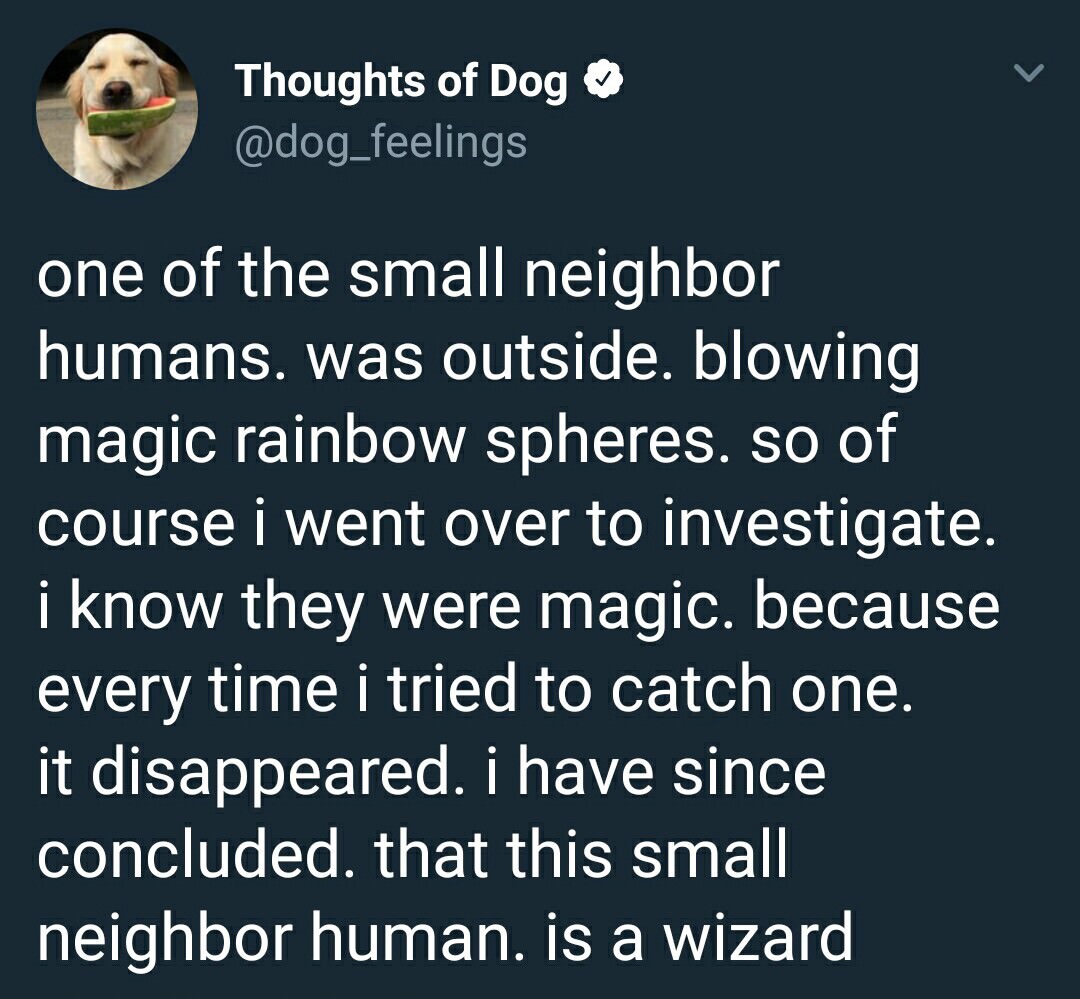 material - Thoughts of Dog one of the small neighbor humans. was outside. blowing magic rainbow spheres. so of course i went over to investigate. i know they were magic. because every time i tried to catch one. it disappeared. i have since concluded. that