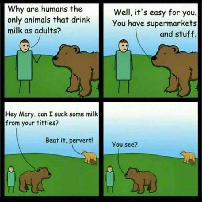 bears milk - Why are humans the only animals that drink milk as adults? Well, it's easy for you. You have supermarkets and stuff. Hey Mary, can I suck some milk from your titties? Beat it, pervert! You see? A