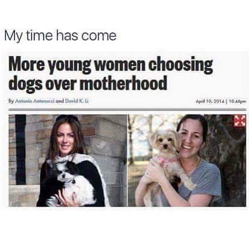 women choosing dogs over babies - My time has come More young women choosing dogs over motherhood Hy Antonio Antenacci and Davidku 104