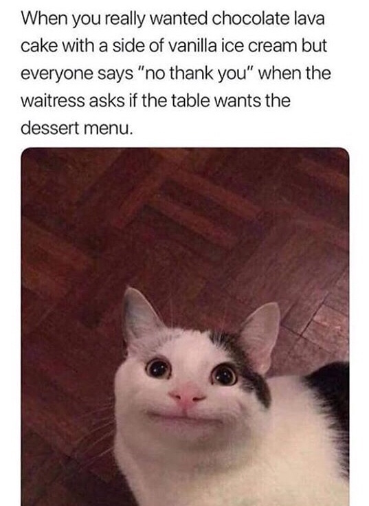 Wednesday meme smiling cat of wanting dessert menu but no one else does