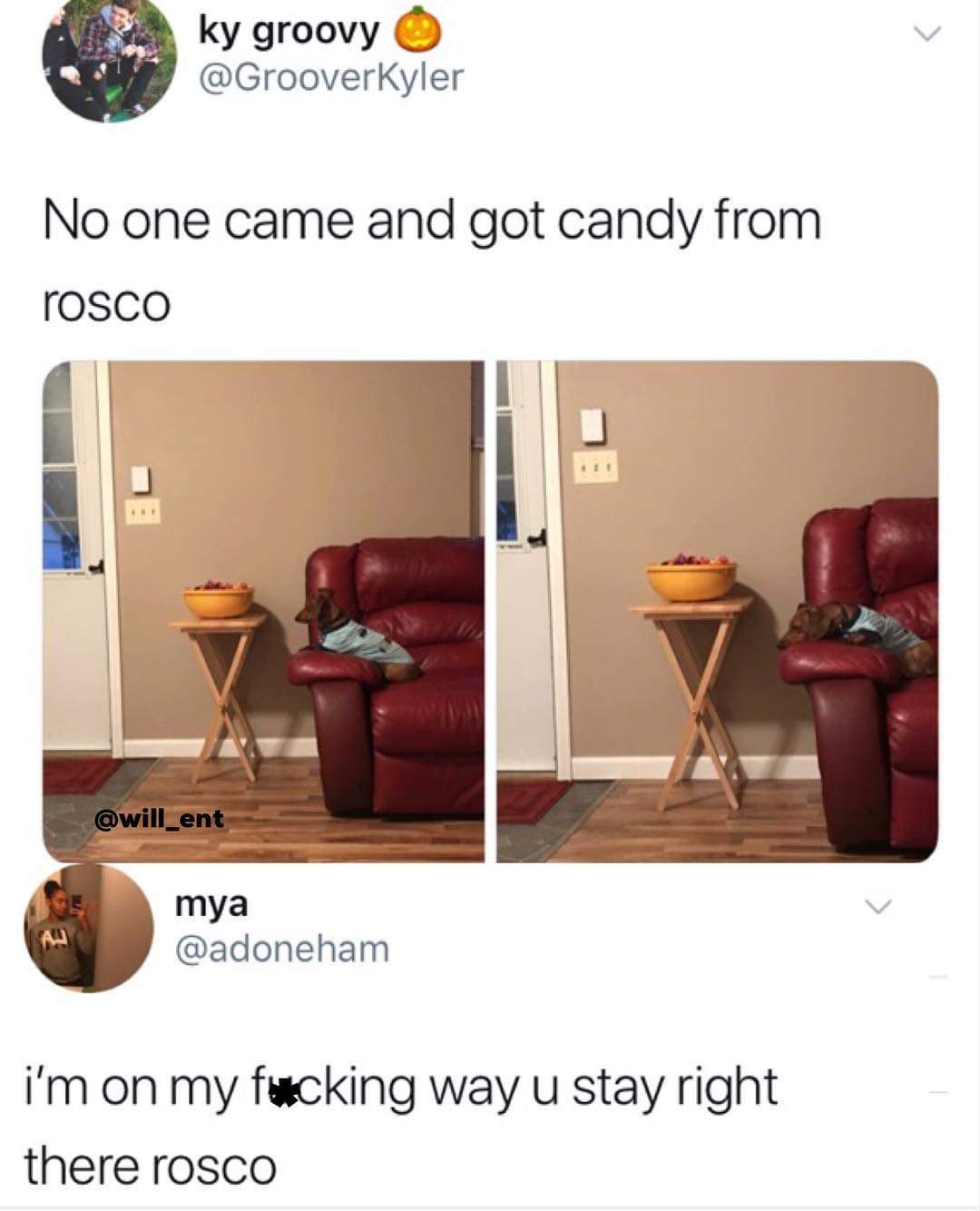 Wednesday meme of Rosco the dog that no body came to get candy from
