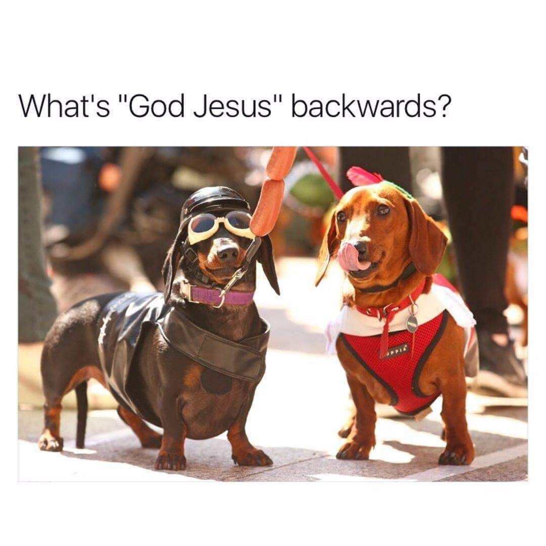 memes - dog jesus sausage - What's "God Jesus" backwards?