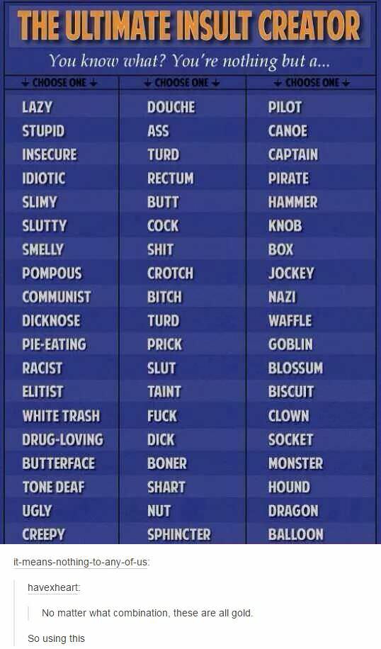memes - insult creator - The Ultimate Insult Creator You know what? You're nothing but a... Choose One Choose One Choose One Douche Pilot Canoe Ass Turd Captain Lazy Stupid Insecure Idiotic Slimy Slutty Smelly Pompous Communist Dicknose PieEating Racist E