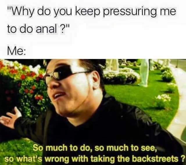 memes - smash mouth all star - "Why do you keep pressuring me to do anal ?" Me So much to do, so much to see, so what's wrong with taking the backstreets ?