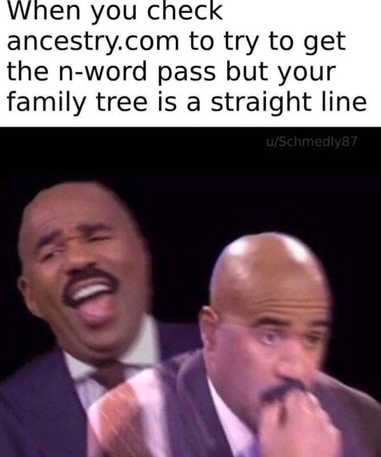 memes - When you check ancestry.com to try to get the nword pass but your family tree is a straight line uSchmedly87