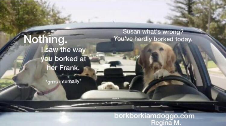 memes - dogs driving gif - Susan what's wrong? You've hardly borked today. Nothing. I saw the way you borked at her Frank. grrrs internally borkborkiamdoggo.com Regina M.