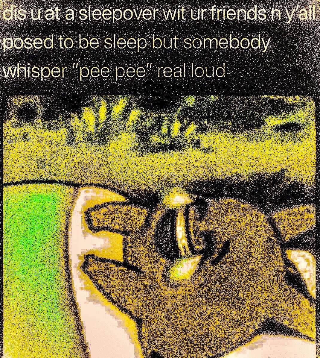 memes - Meme - dis u at a sleepover wit ur friends n y'all posed to be sleep but somebody whisper "pee pee real loud