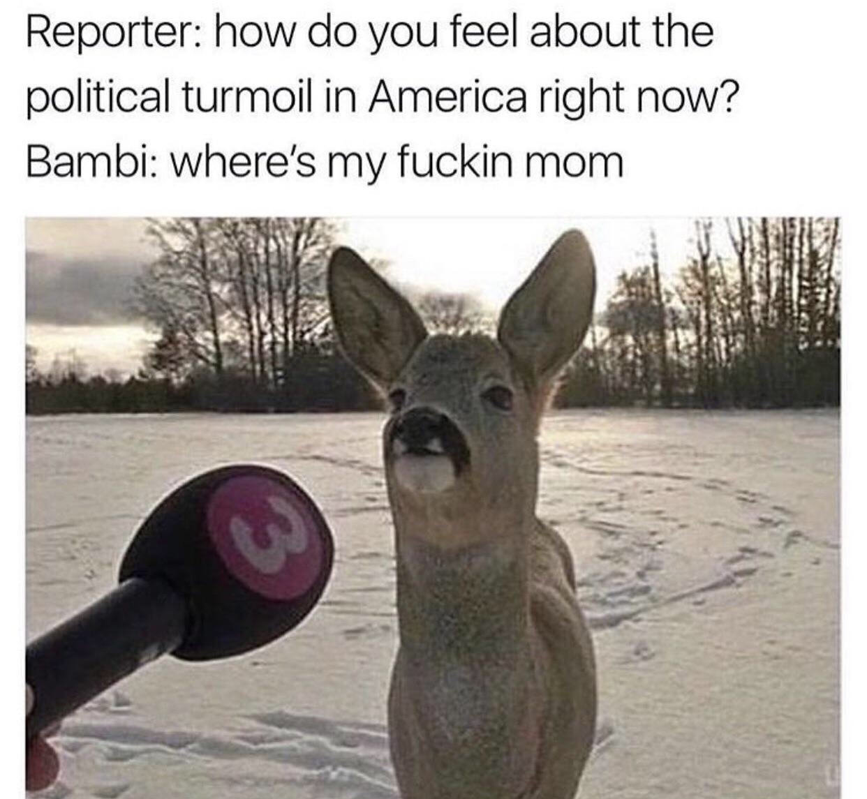 memes - wheres my fuckin mom - Reporter how do you feel about the political turmoil in America right now? Bambi where's my fuckin mom