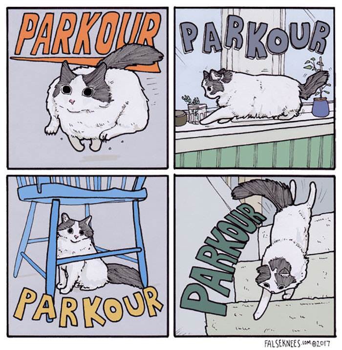 memes - parkour cat comic - Parkour Parkour U Uul T Ulli U |Parkour Falseknees.Com 2017