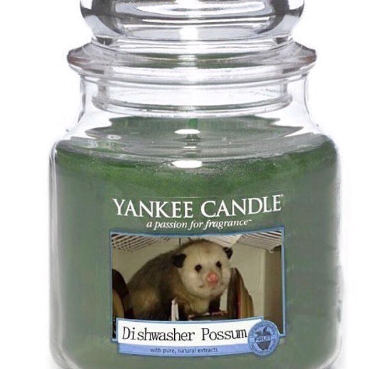 dishwasher possum - Yankee Candle a passion for fragrance Dishwasher Possum with pure, natural extract