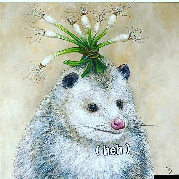 opossum with green onion - heh 3