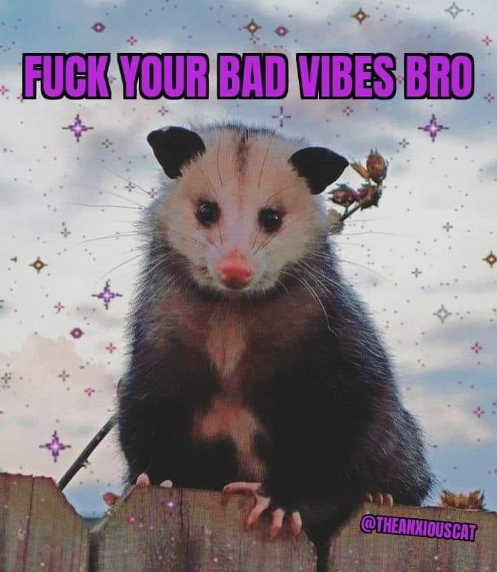 funny opossum - Fuck Your Bad Vibes Bro