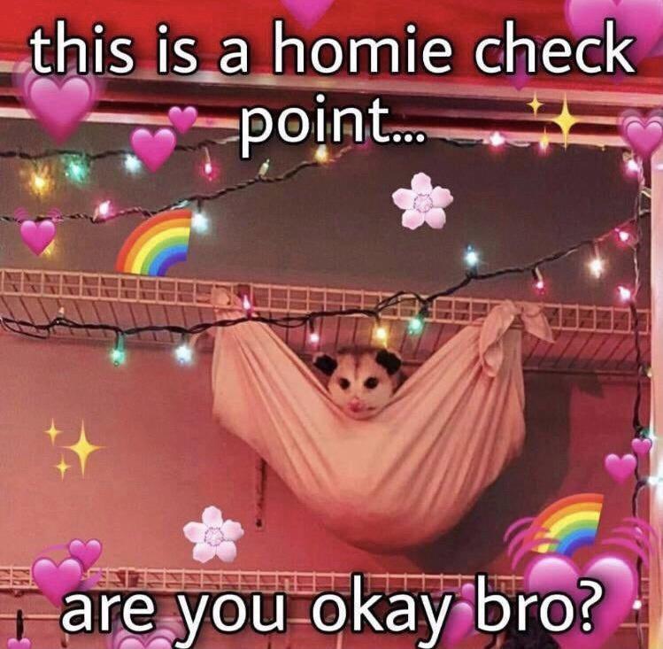 homie checkpoint - this is a homie check point... are you okay bro?