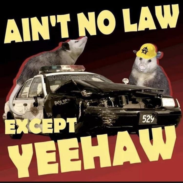 ain t no law except yeehaw - Ain'T No Law meme Ora Polics 524 Except Yeehaw