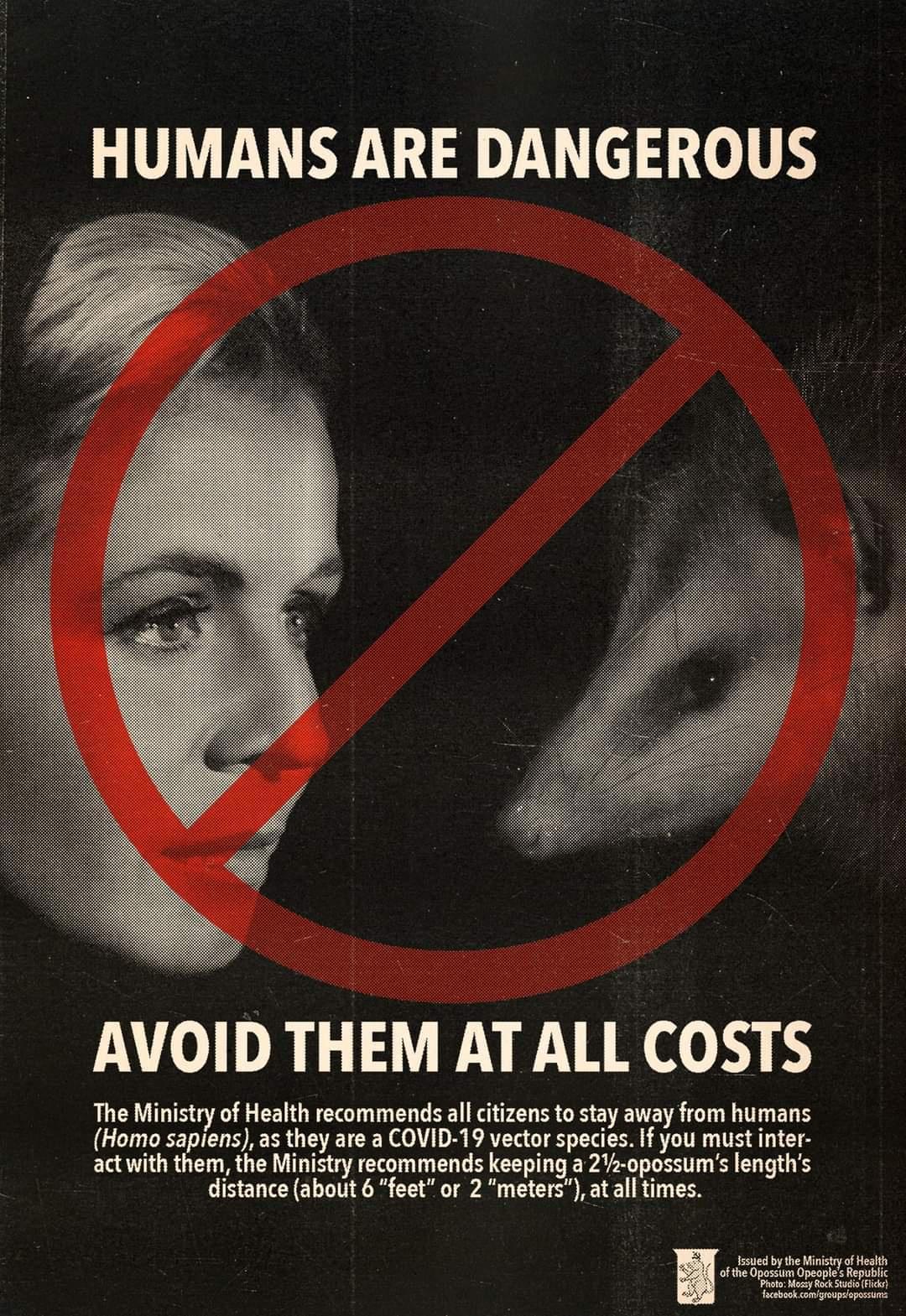poster - Humans Are Dangerous Avoid Them At All Costs The Ministry of Health recommends all citizens to stay away from humans Homo sapiens, as they are a Covid19 vector species. If you must inter act with them, the Ministry recommends keeping a 212opossum