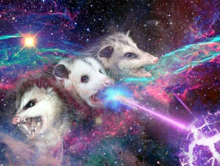 opossum desktop