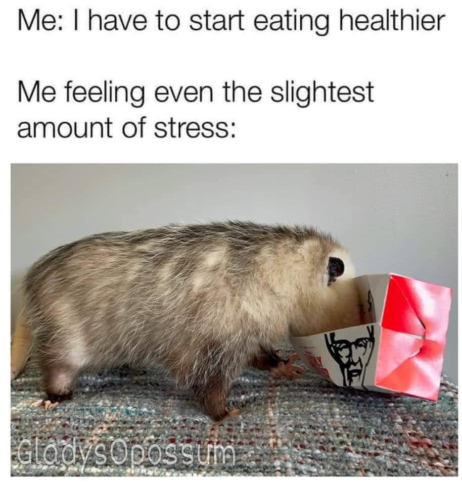 fauna - Me I have to start eating healthier Me feeling even the slightest amount of stress Gladys Opossum