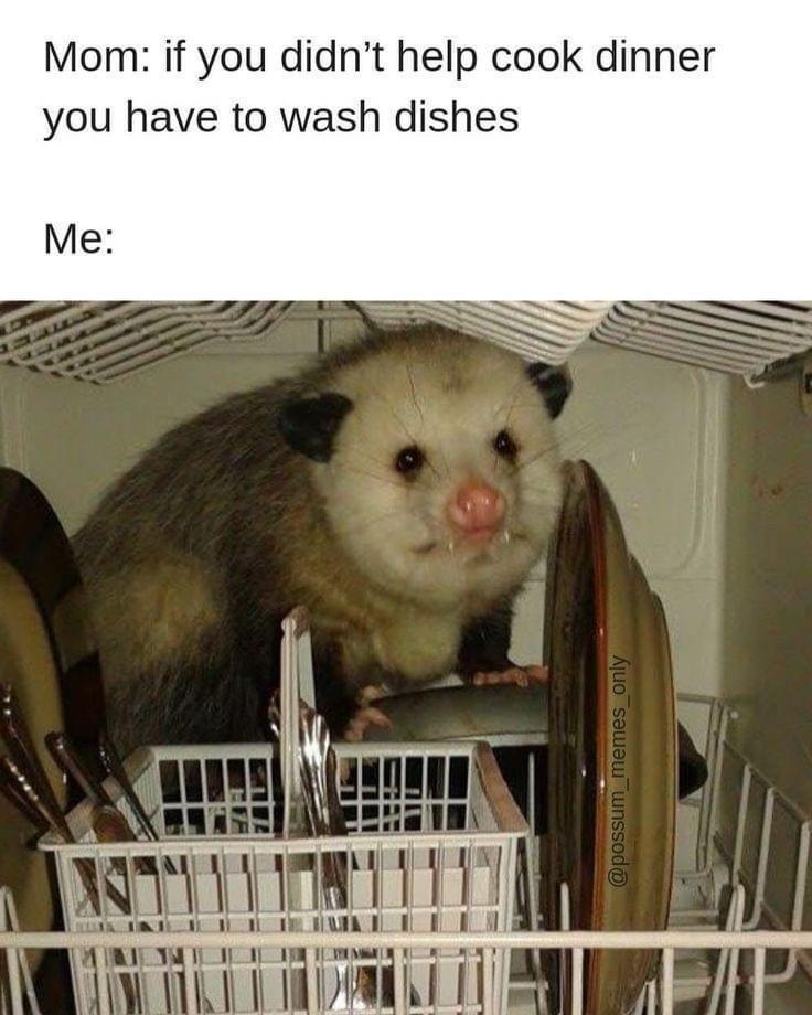 dishwasher possum - Mom if you didn't help cook dinner you have to wash dishes Me