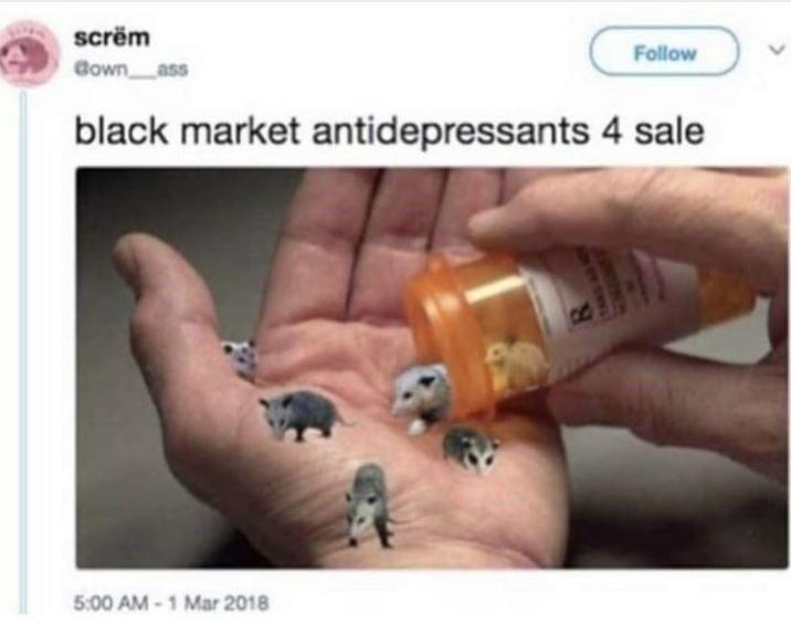 antidepressants memes - scrm down ass black market antidepressants 4 sale