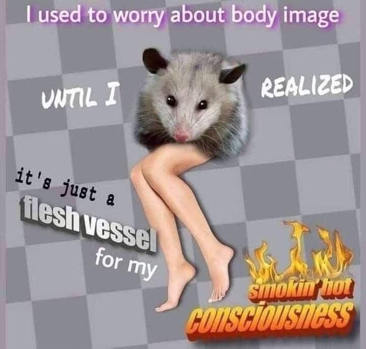 used to worry about body image until i real - I used to worry about body image Realized Until I it's just a flesh vessel for my smokin hot consciousness