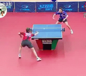 gif ping pong -