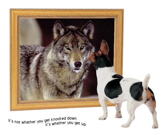 A truly dorky but inspirational image. A dog seeing something better than himself in the mirror.